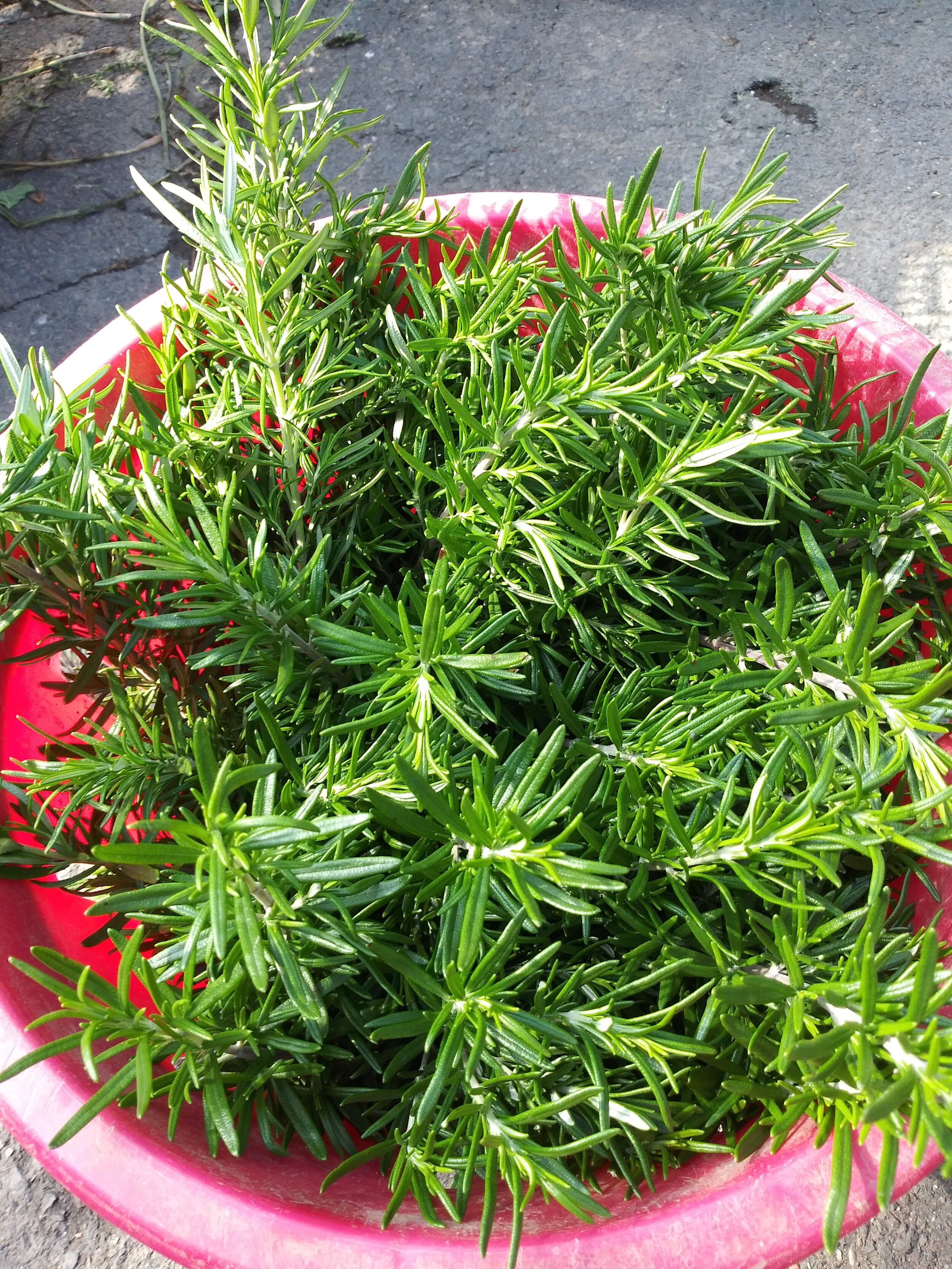 20201007_110854.jpg