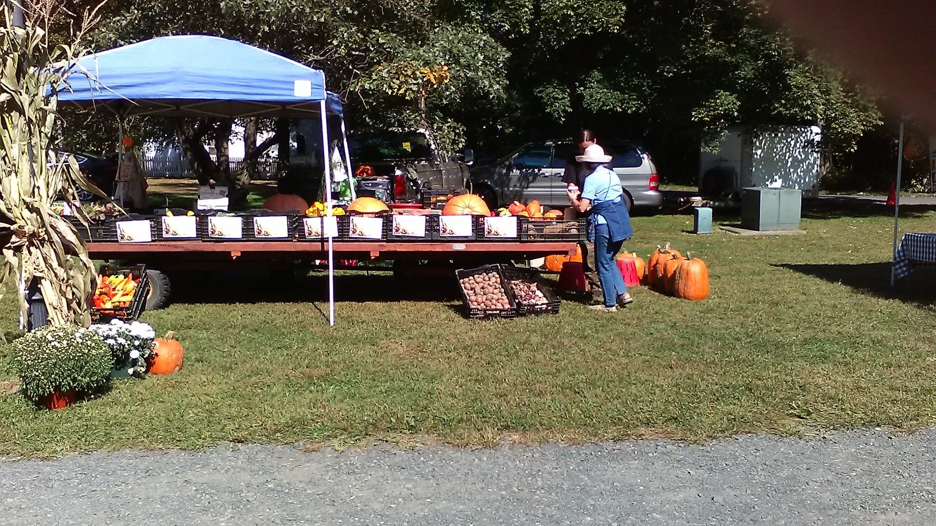 Markets — Retail, Bulk, and CSA Farm in Windsor, CT StefanFarms