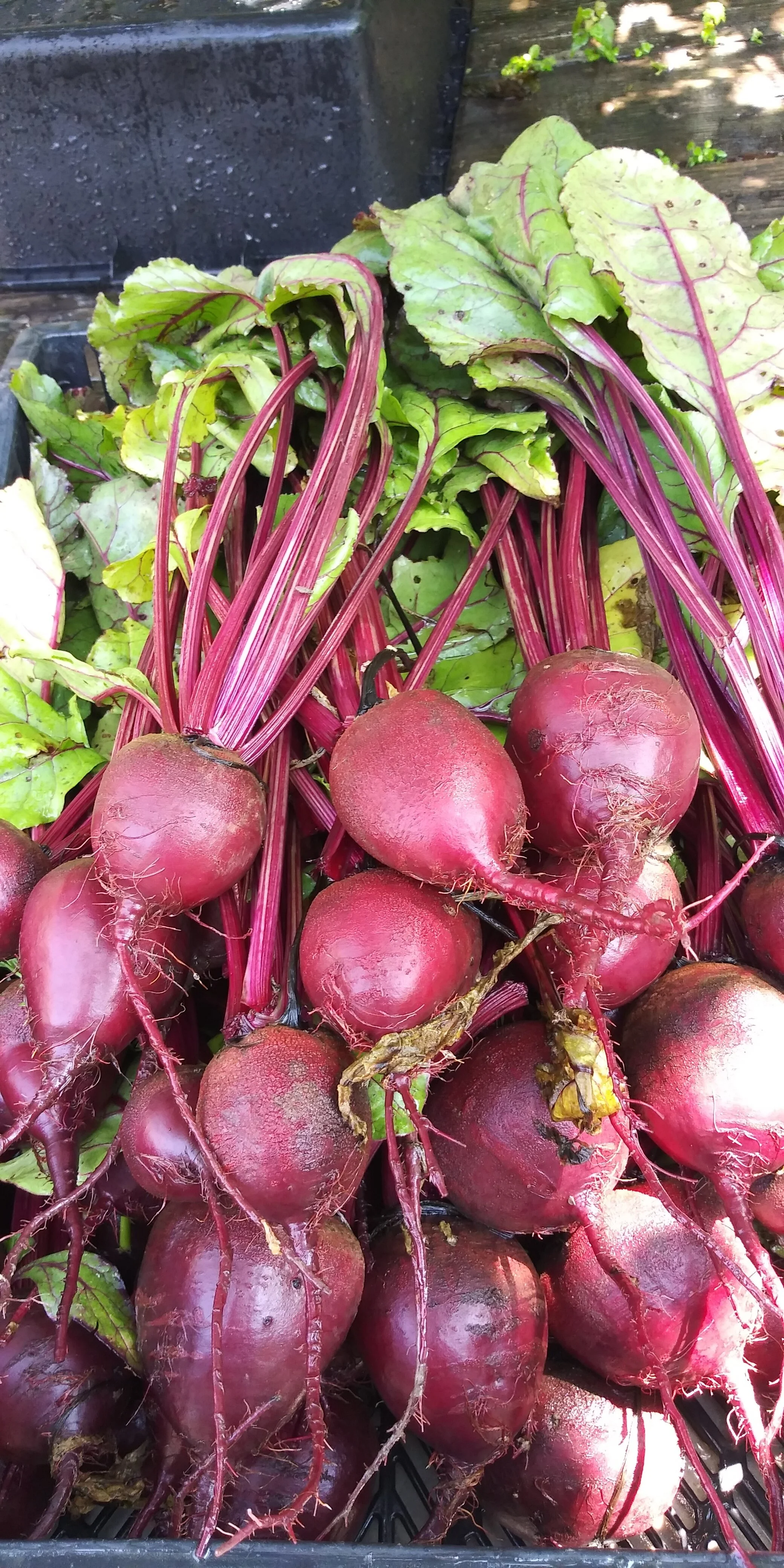 Sweet Beets