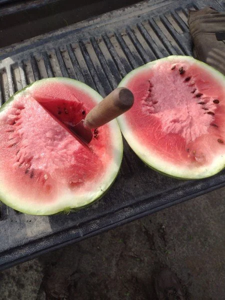 watermelon.jpg