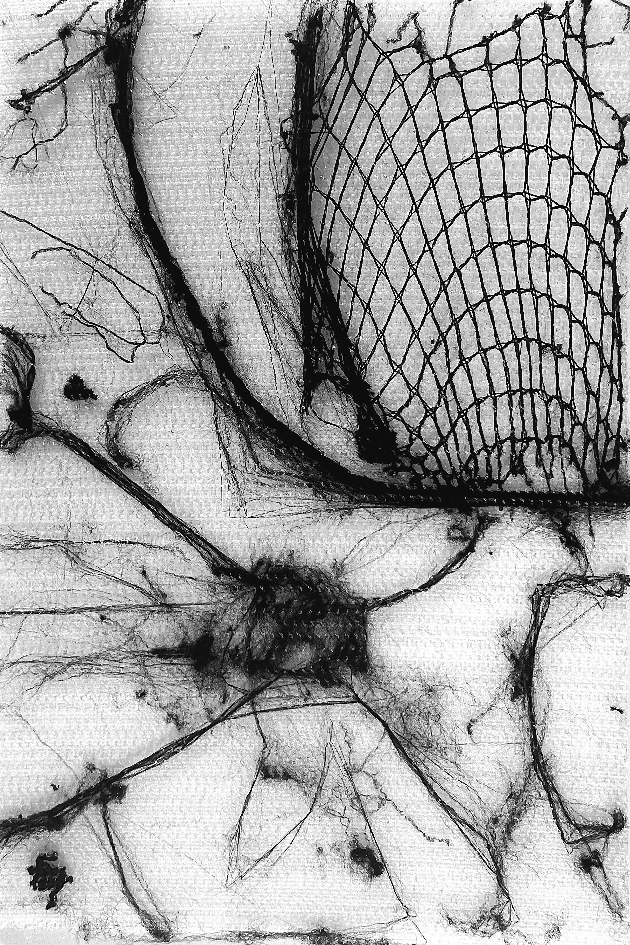 Close-up of a spider web with black strands, some of which are torn or broken, on a white textured background.