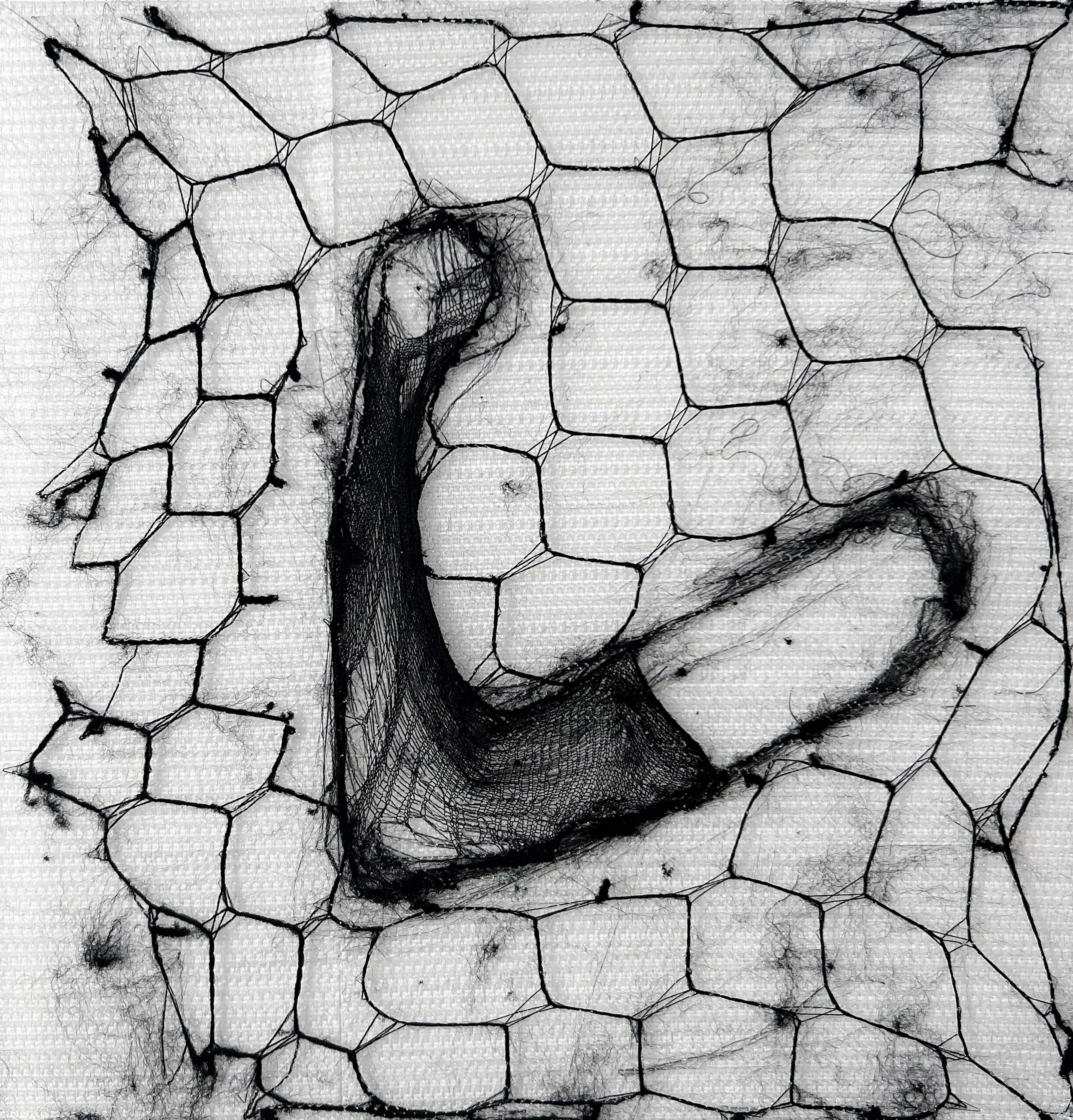 A close-up of a spider web with a black spider in the center, on a textured surface with a honeycomb-like pattern.