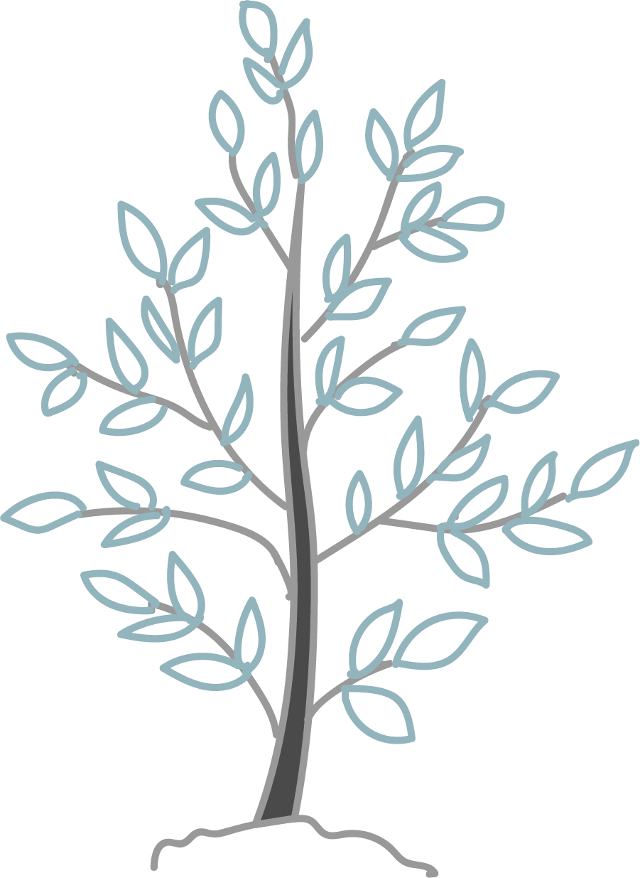 Established tree icon