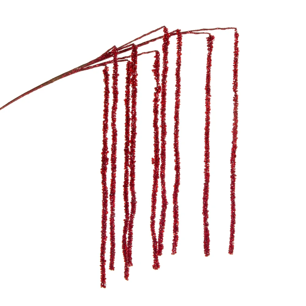 RAZ red branch.webp