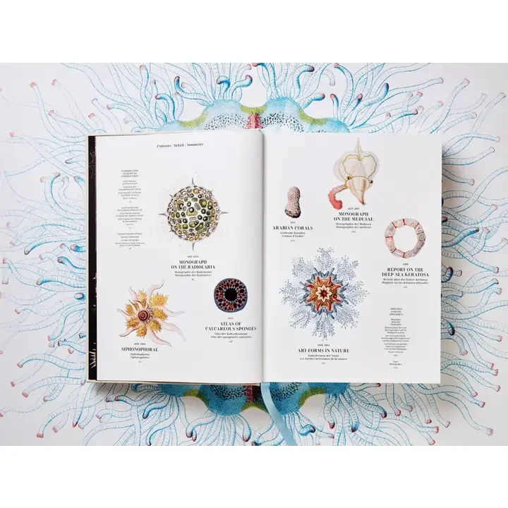 Faire ernst book 2.webp