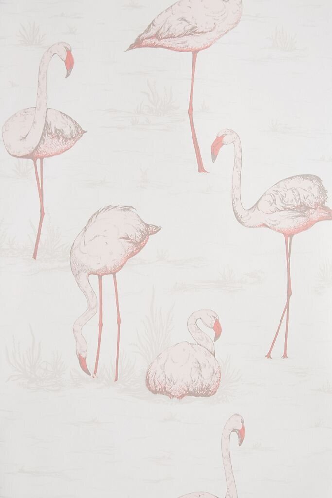 Flamingos - Cole &amp; Son - Wallpaperdirect.com