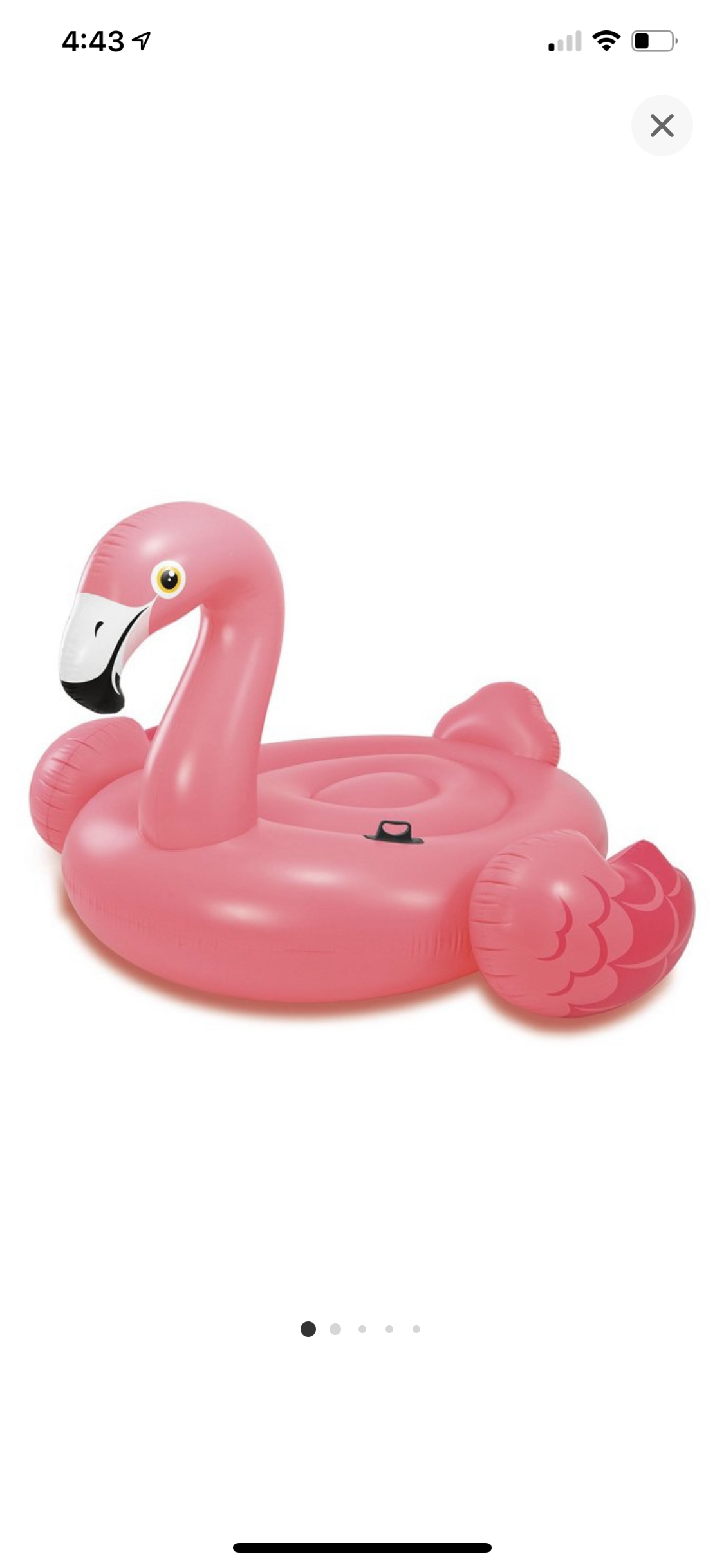 Flamingo Float for Two