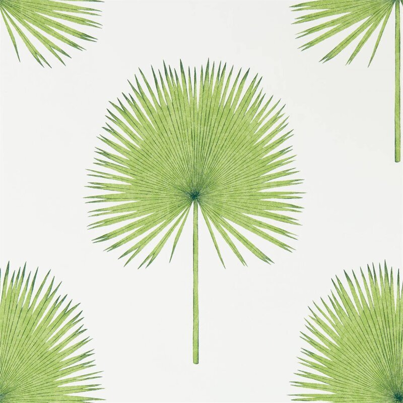 Sanderson - Fan Palm - Wallpaperdirect.com