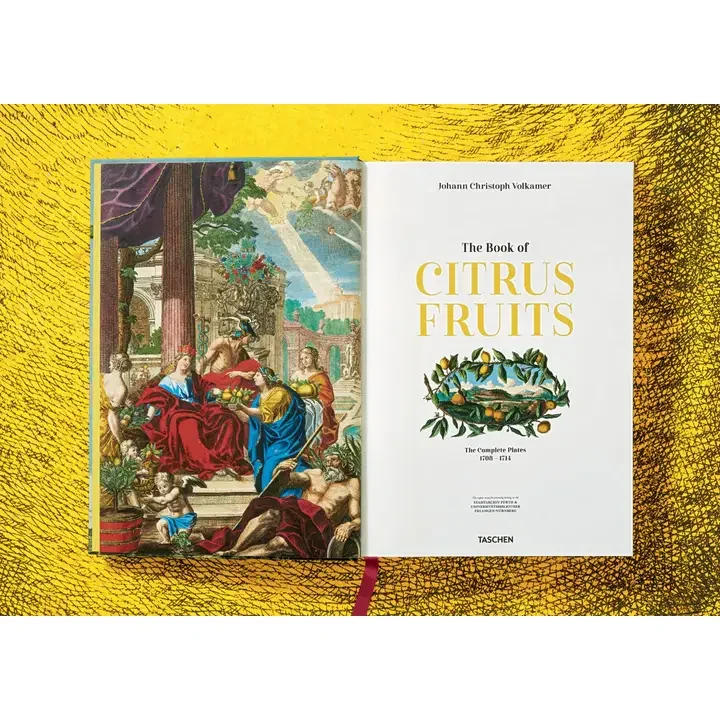 faire citrus book1.webp