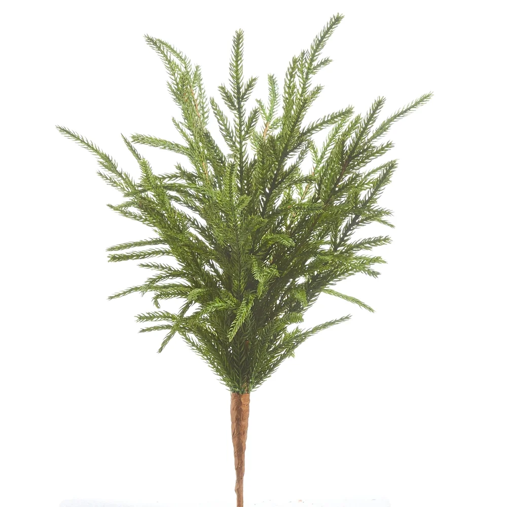 RAZ pine Pick.webp