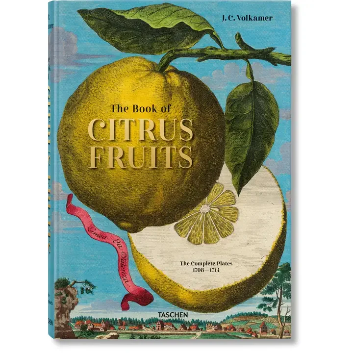 Faire citrus book.webp