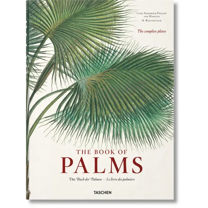 Faire palms book.webp