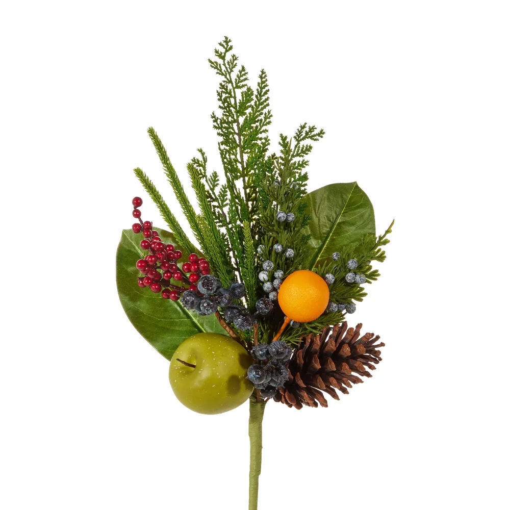 RAZ fruit pick.webp