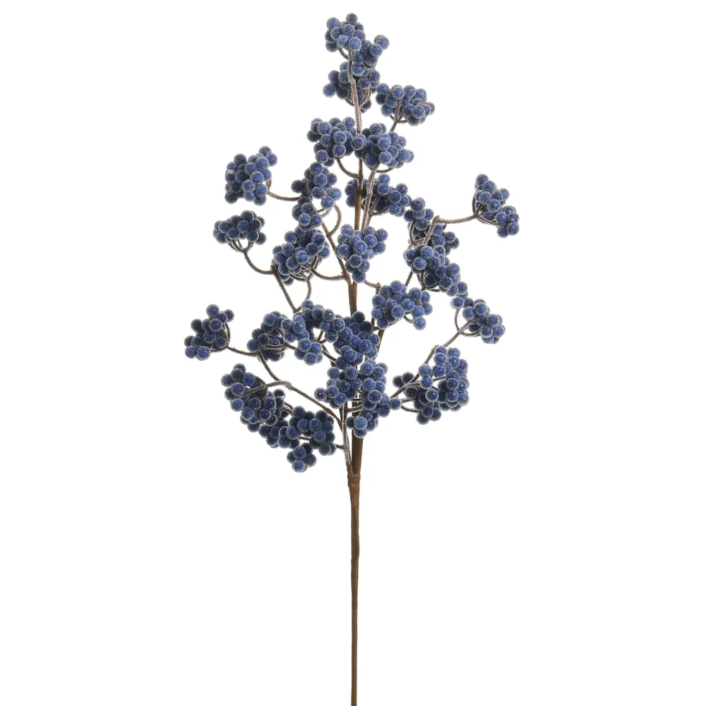 RAZ Berry Cluster.webp