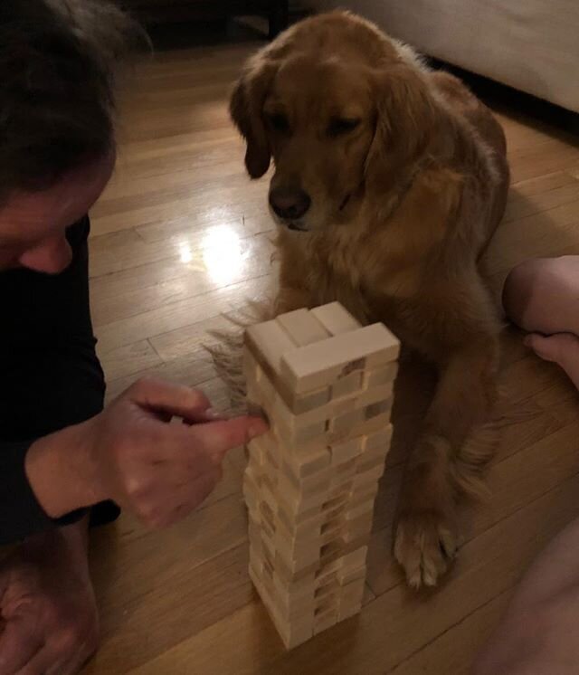 #quarantine Day 93.  Teaching the dog #jenga