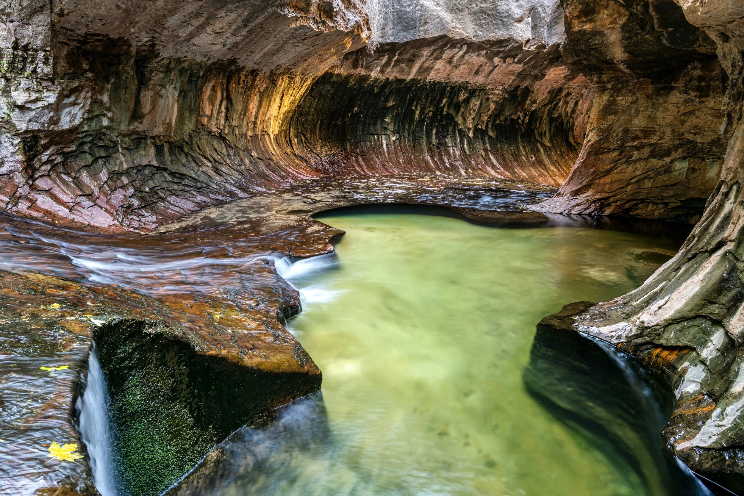Zion 2022 181 Final Medium Res.jpg