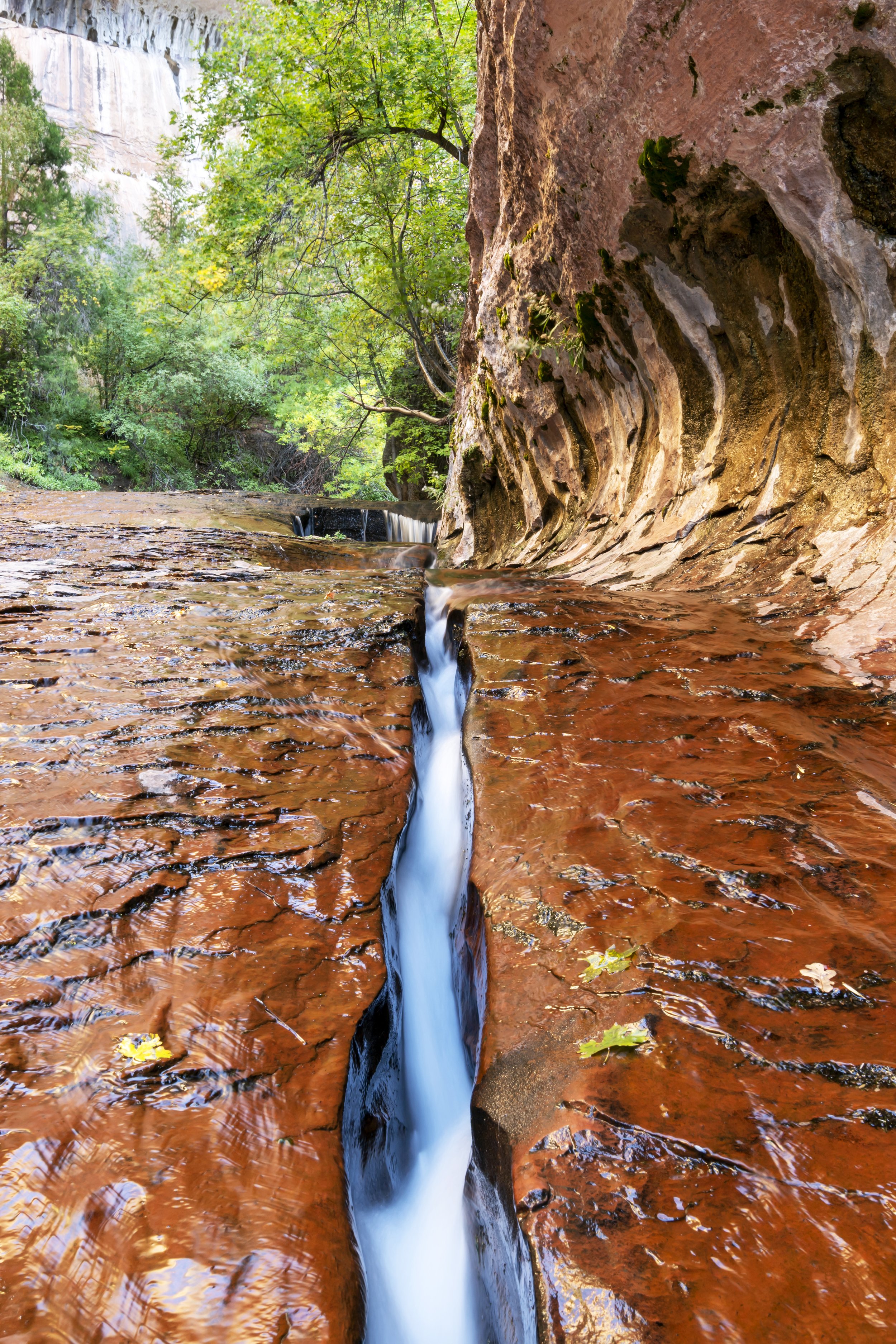Zion 2022 130 Final High Res.jpg