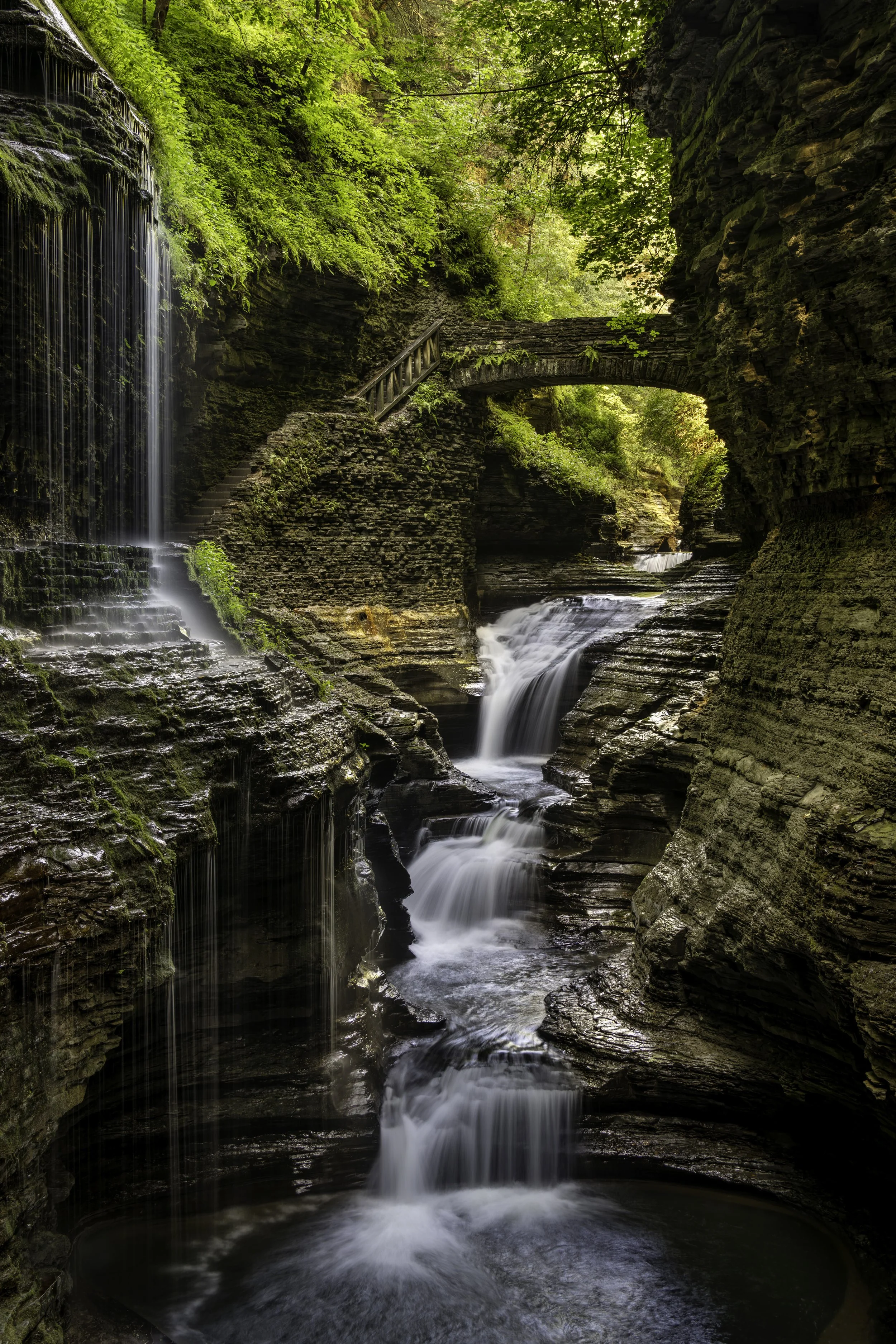 Finger Lakes 472 Final Medium Res.jpg