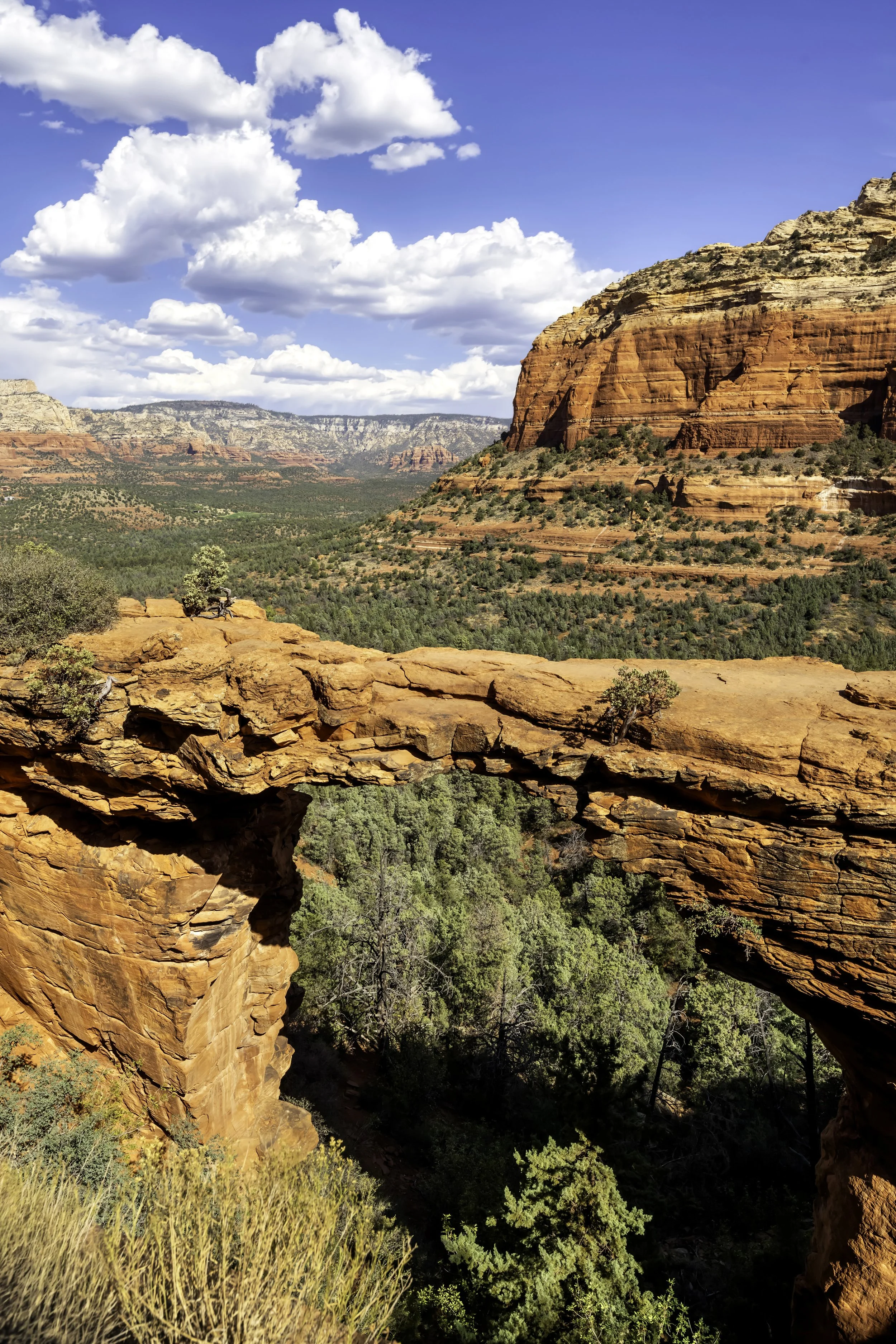 Sedona 121 Final.jpg