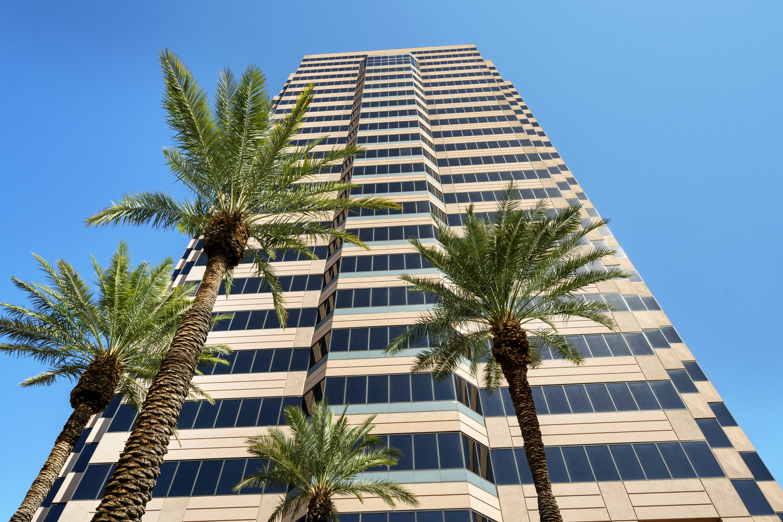 20 E Thomas Road 824 Medium Res.jpg