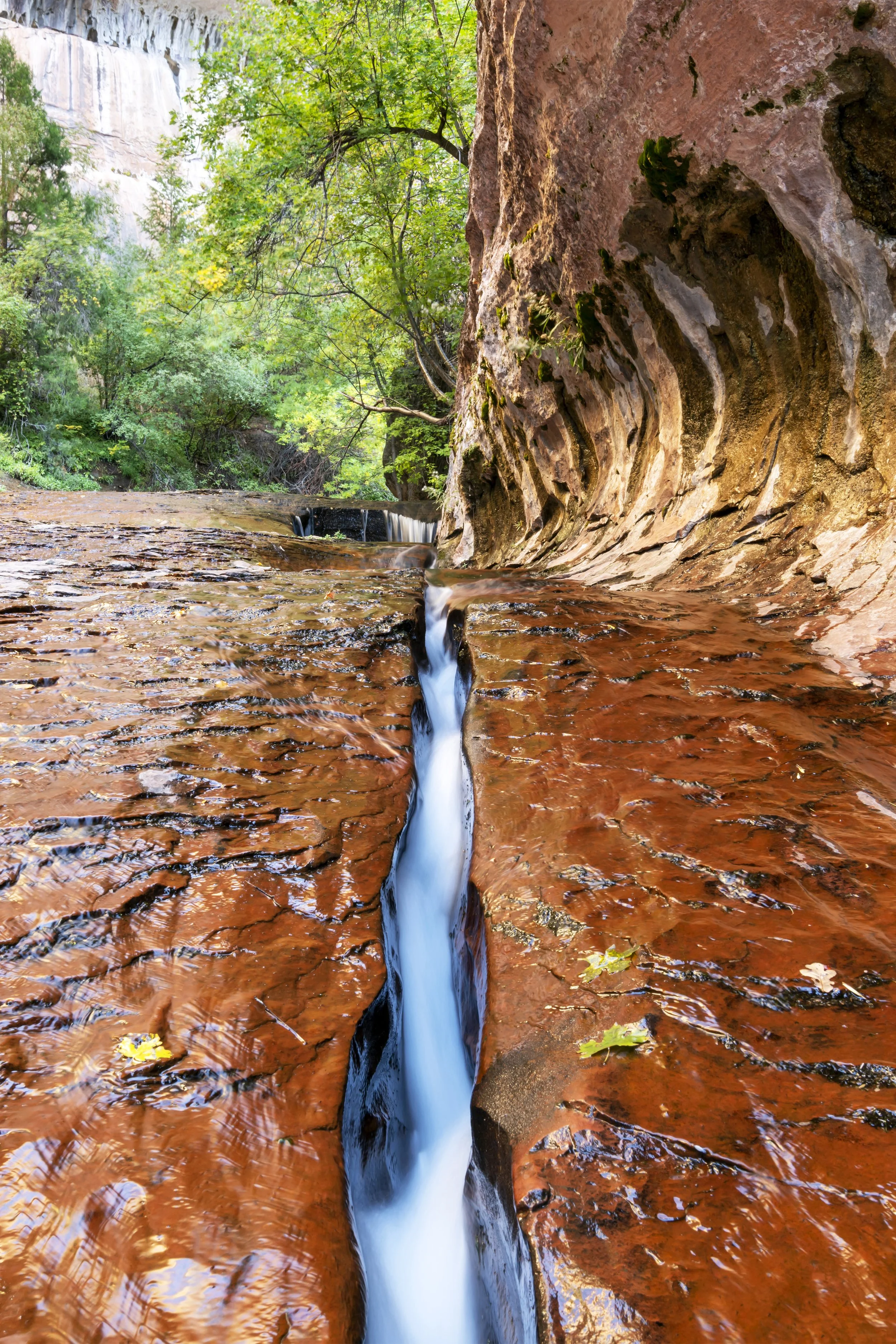 Zion 2022 130 Final High Res.jpg