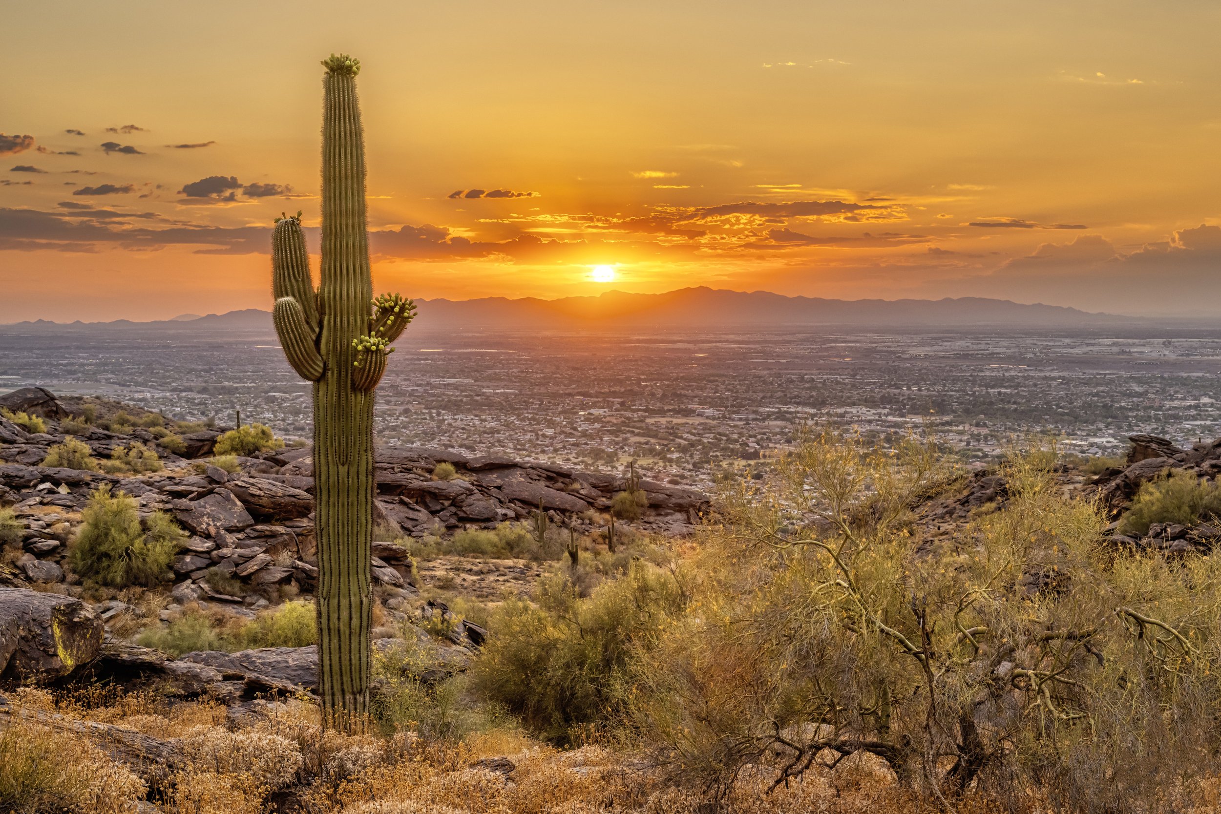 South Mountain Landscape 02 Final Medium Res.jpg