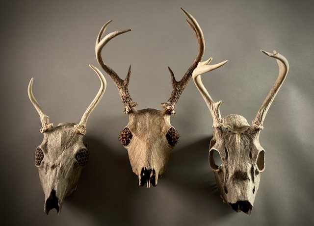 3 Small Skulls