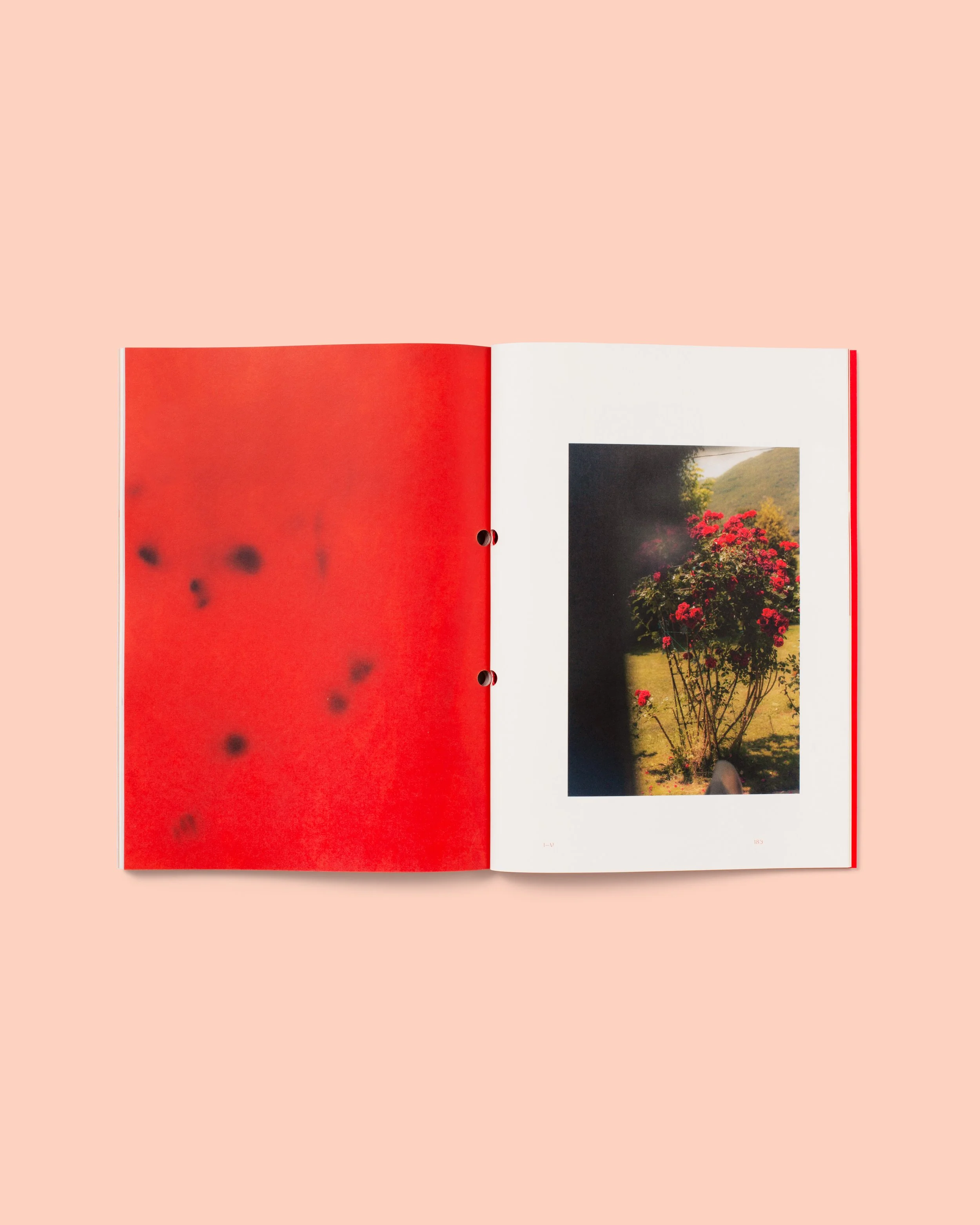 MM.05_Spreads_4x5_32.jpg