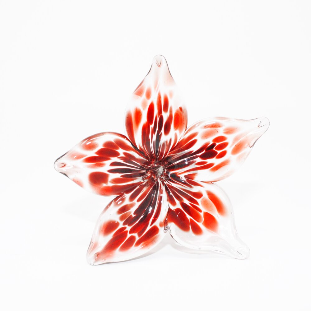 Glass Flowers — Maggie Bean Glass