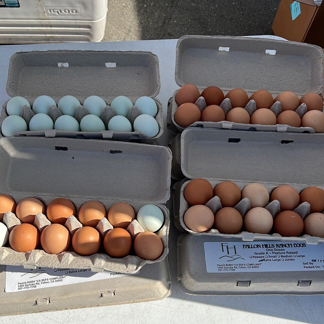We are at our usual Farmers Markets today. Come get your weekly meat and egg shopping done.