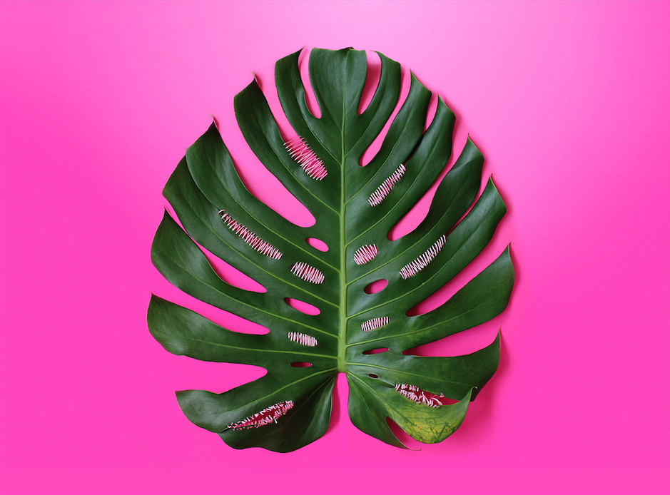 pink_intervention_01.png