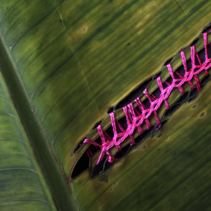 pink_intervention_07.png