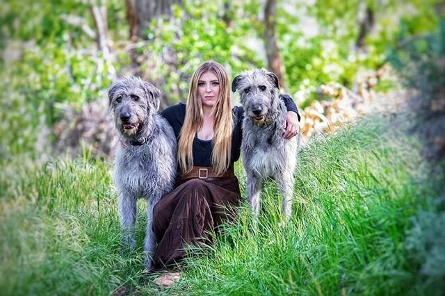 So beautiful
-⠀ ⠀
#irishwolfhound #irishwolfhoundlovers #dogsofinstagram #irishwolfhoundsofinstagram #dogsandpals #irishwolfhoundpuppy #puppy #irishwolfhoundlove  #doggielove #dogsofig #doggo #pupsagram #puppysmiles #dogsofbark  #buzzfeedpets #buzzfe