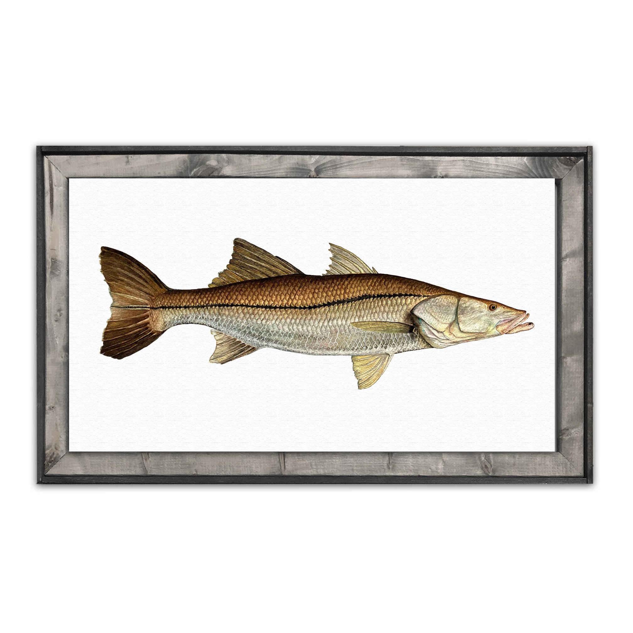 snook16x30framed.jpg