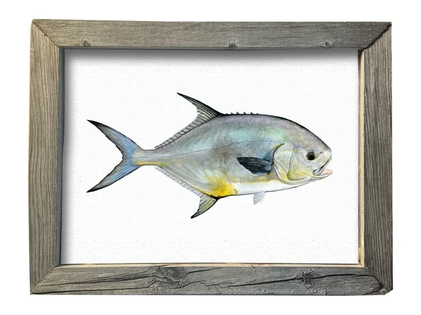 5" x 7" Framed Mini Giclee Prints