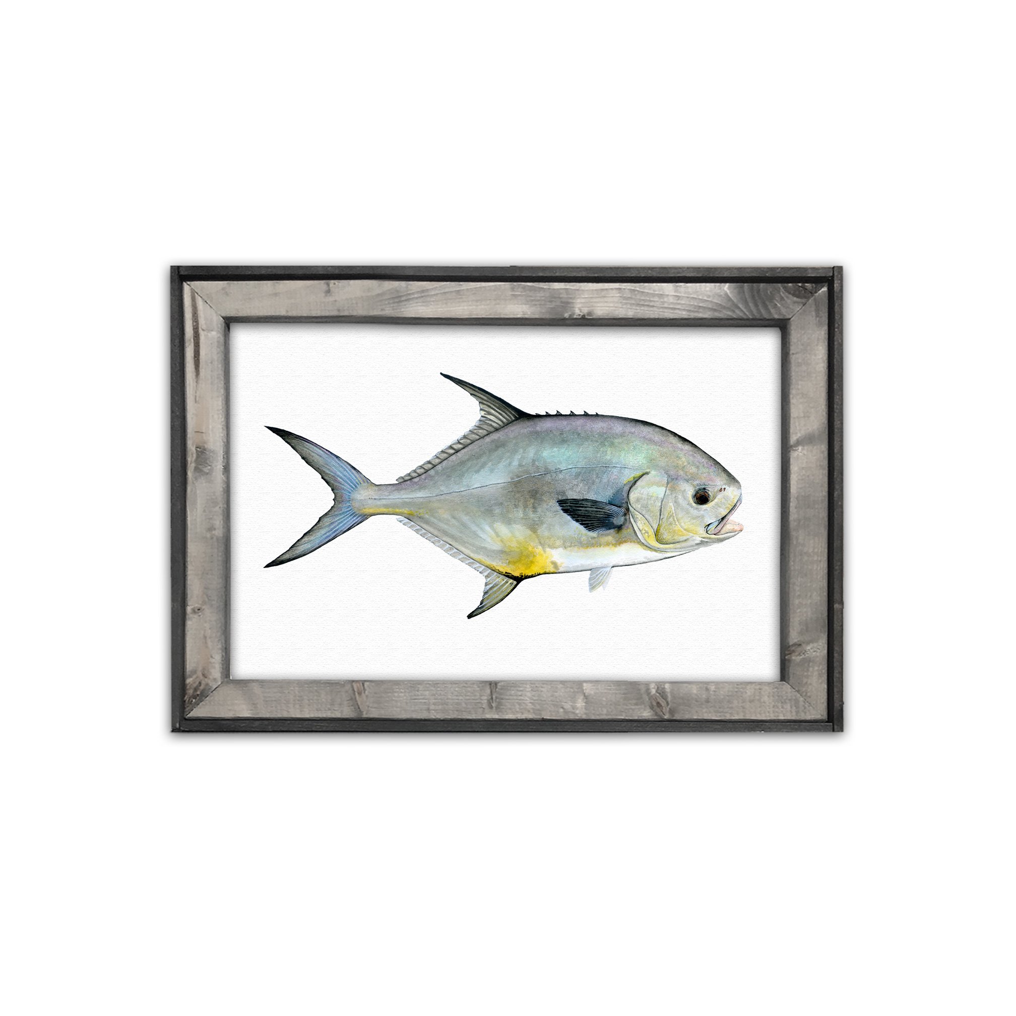 permit12x18framed.jpg
