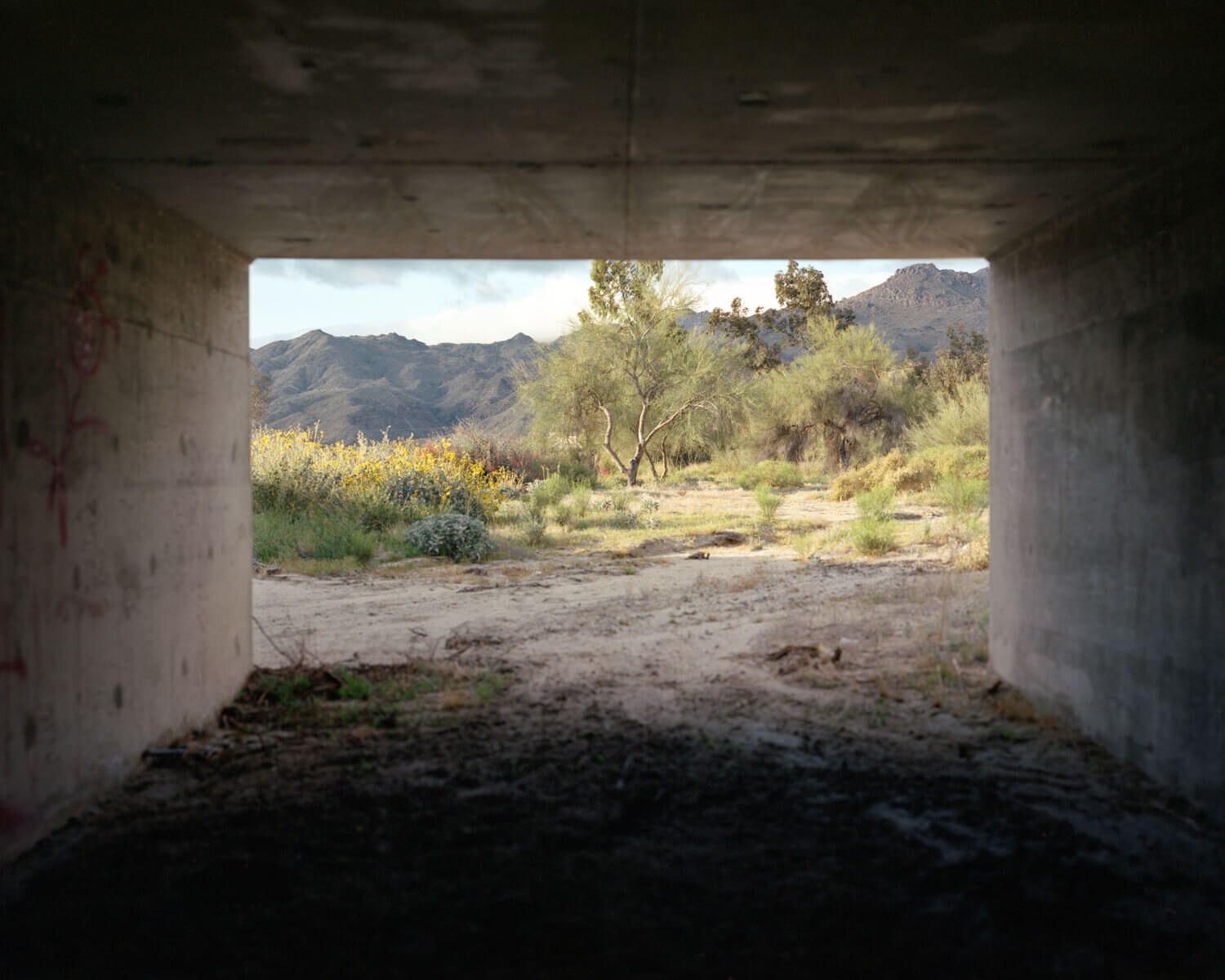  Tunnel with Wildflowers, 2020 Archival pigment print   Writing    FIlm    Installation  