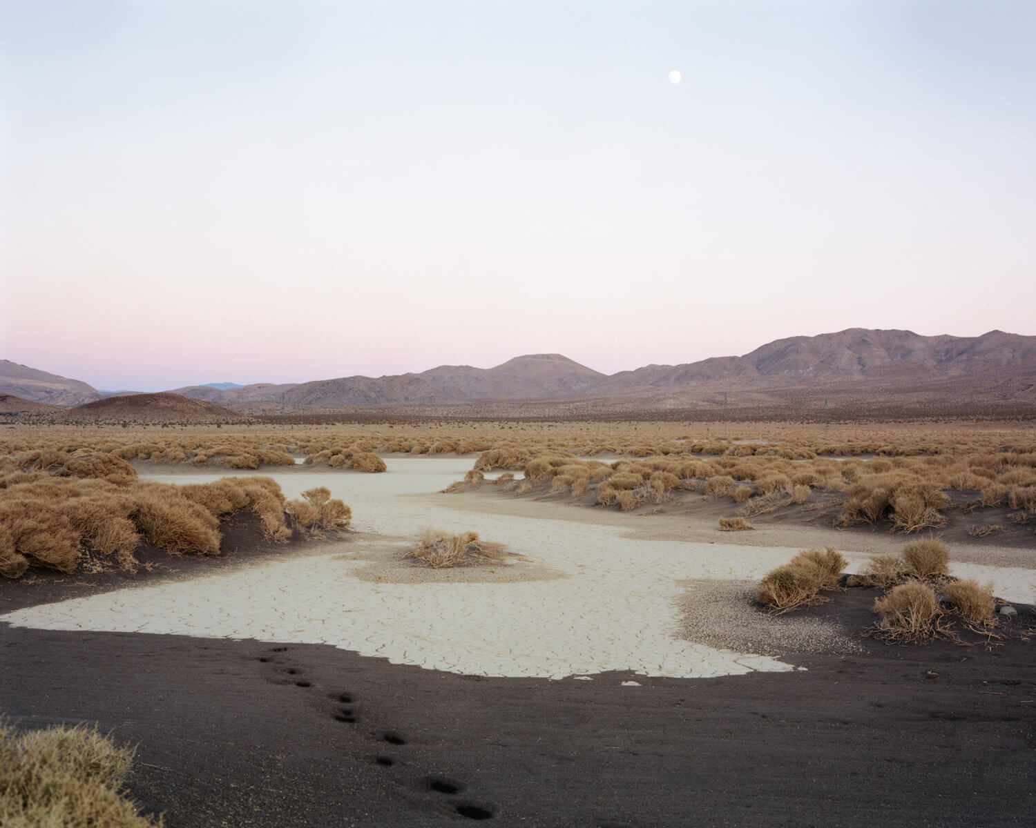  Dry Lake Bed with Footprints, 2021 Archival pigment print   Writing    Film    Installation  