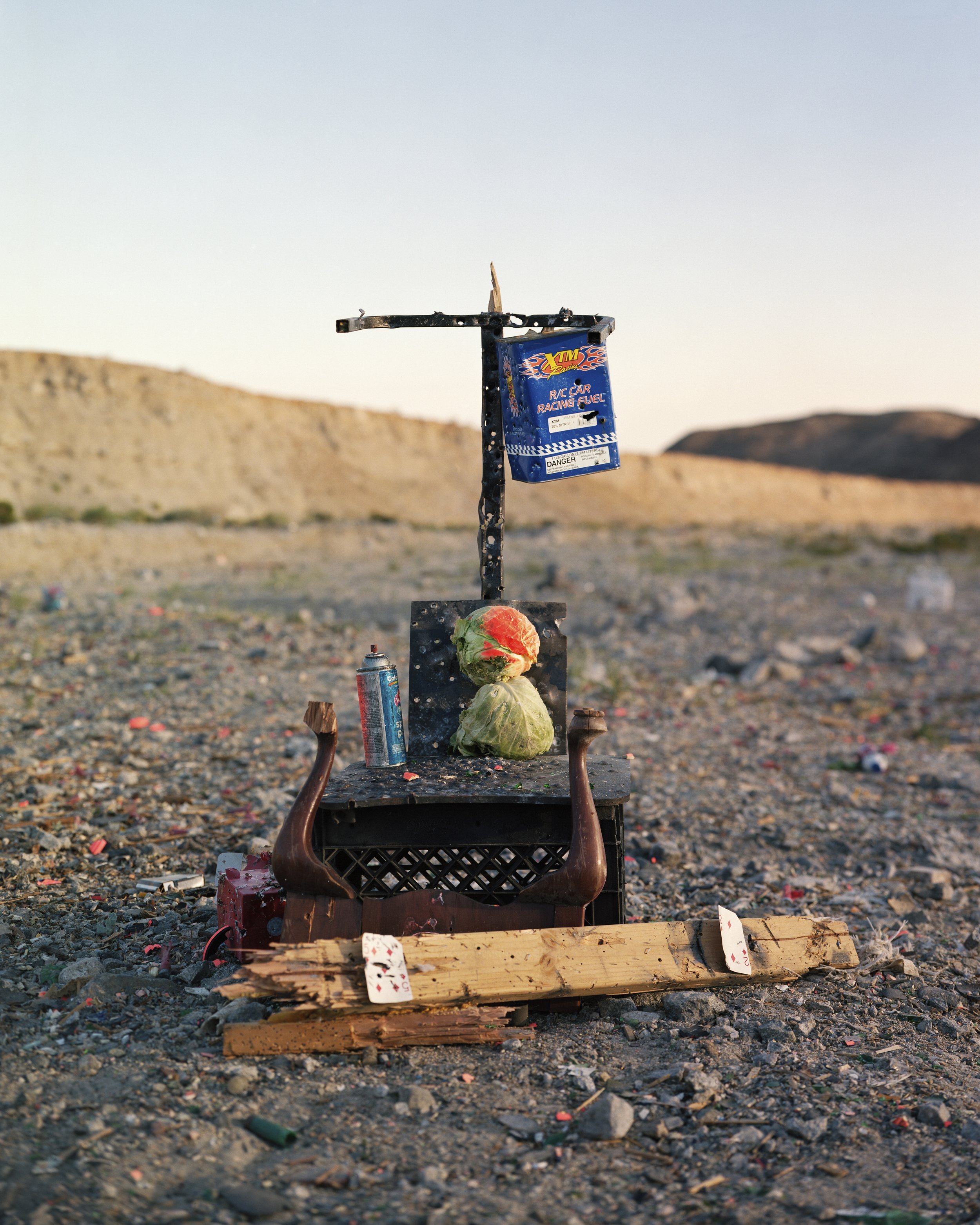  Target Construction with Cabbage, 2020 Archival pigment print   Writing    Film    Installation  