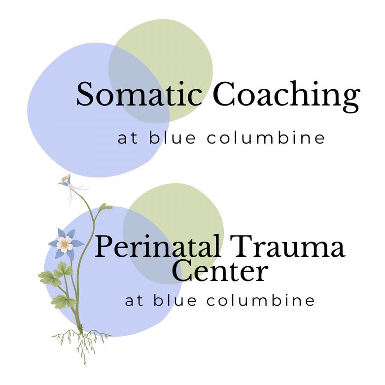 Perinatal Trauma Center At Blue Columbine