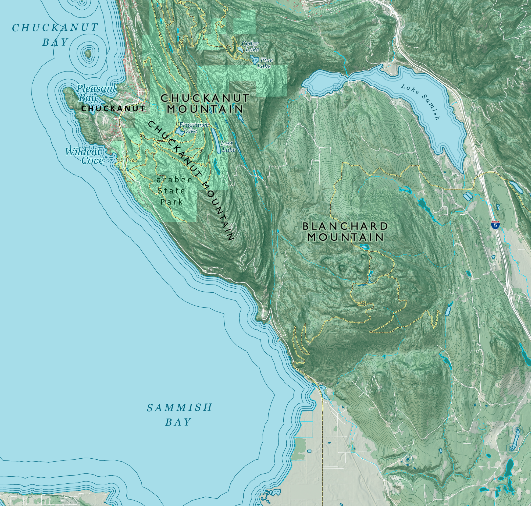 Bellingham_close2_sm.png