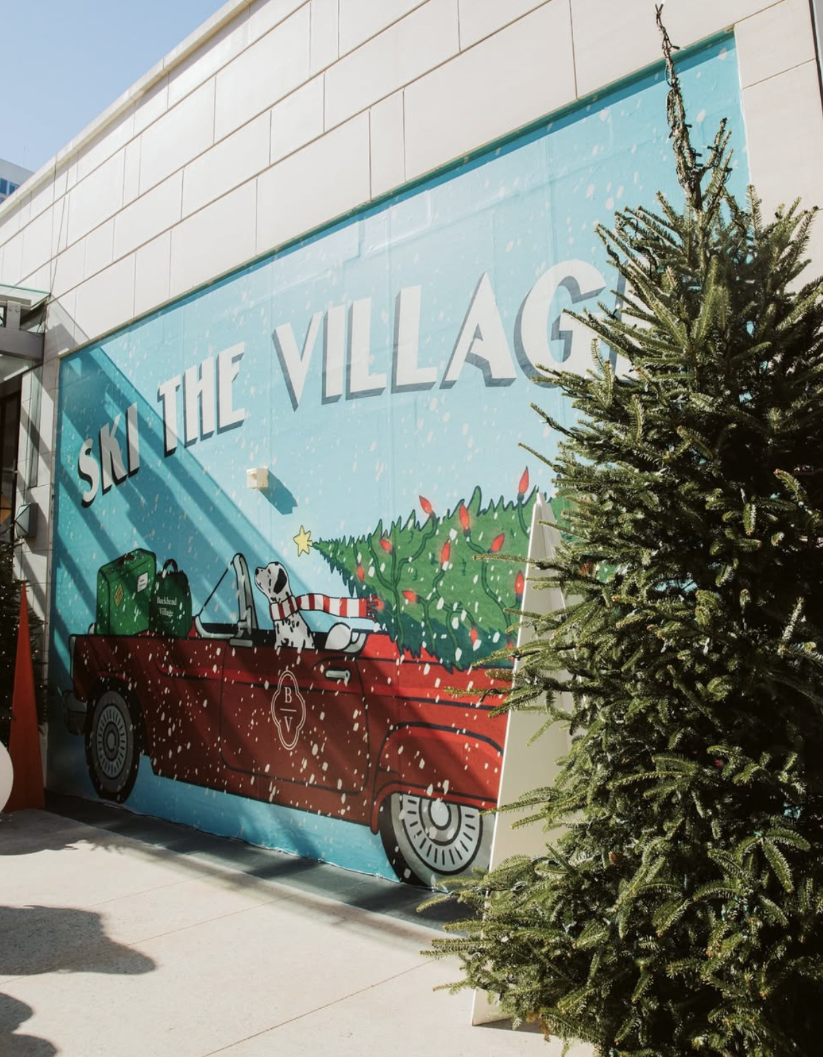 Big John's Christmas Trees