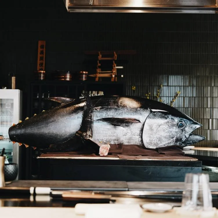 Tuna Cutting &amp; Tasting at O by BRush