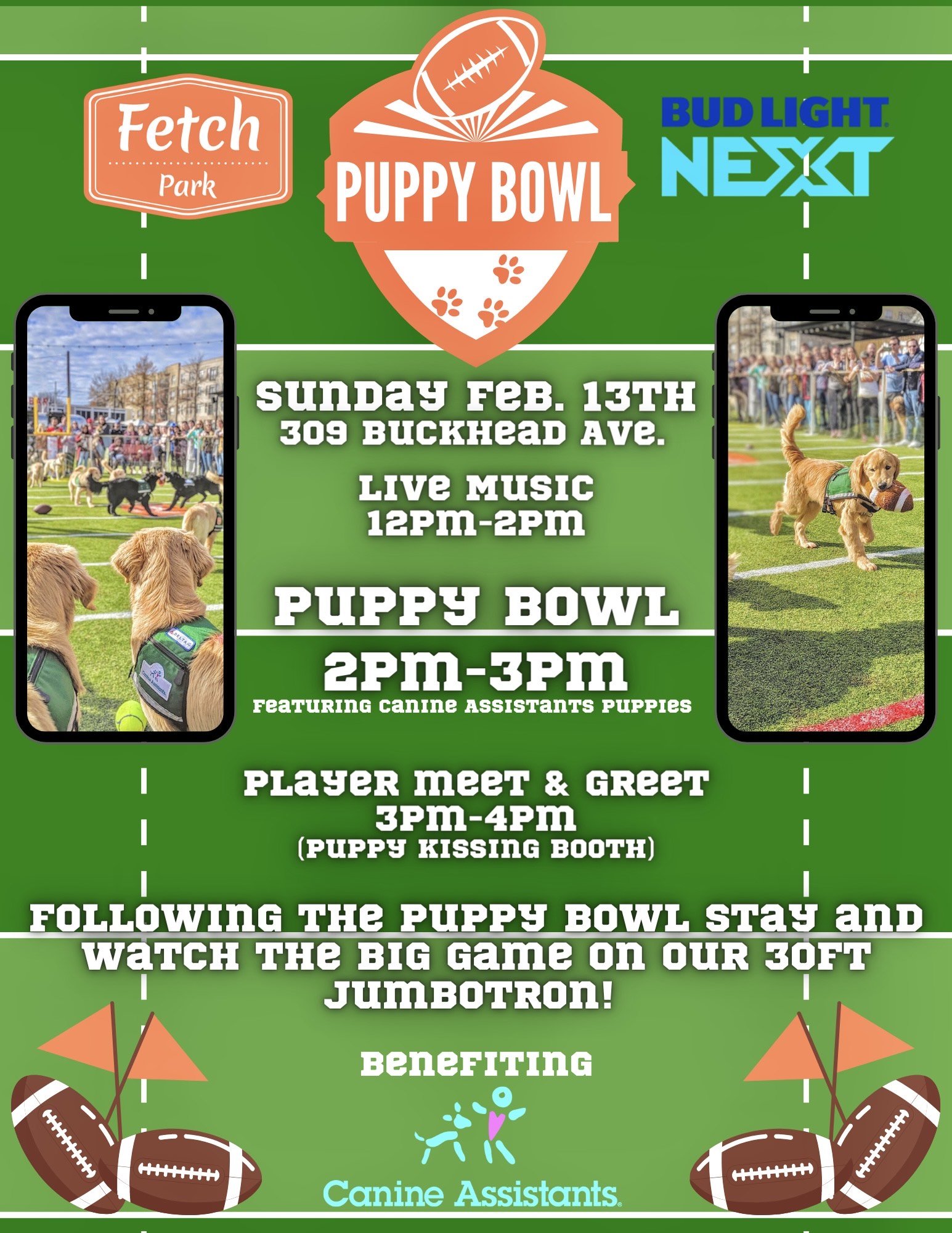 Fetch Park Puppy Bowl — Buckhead Village District