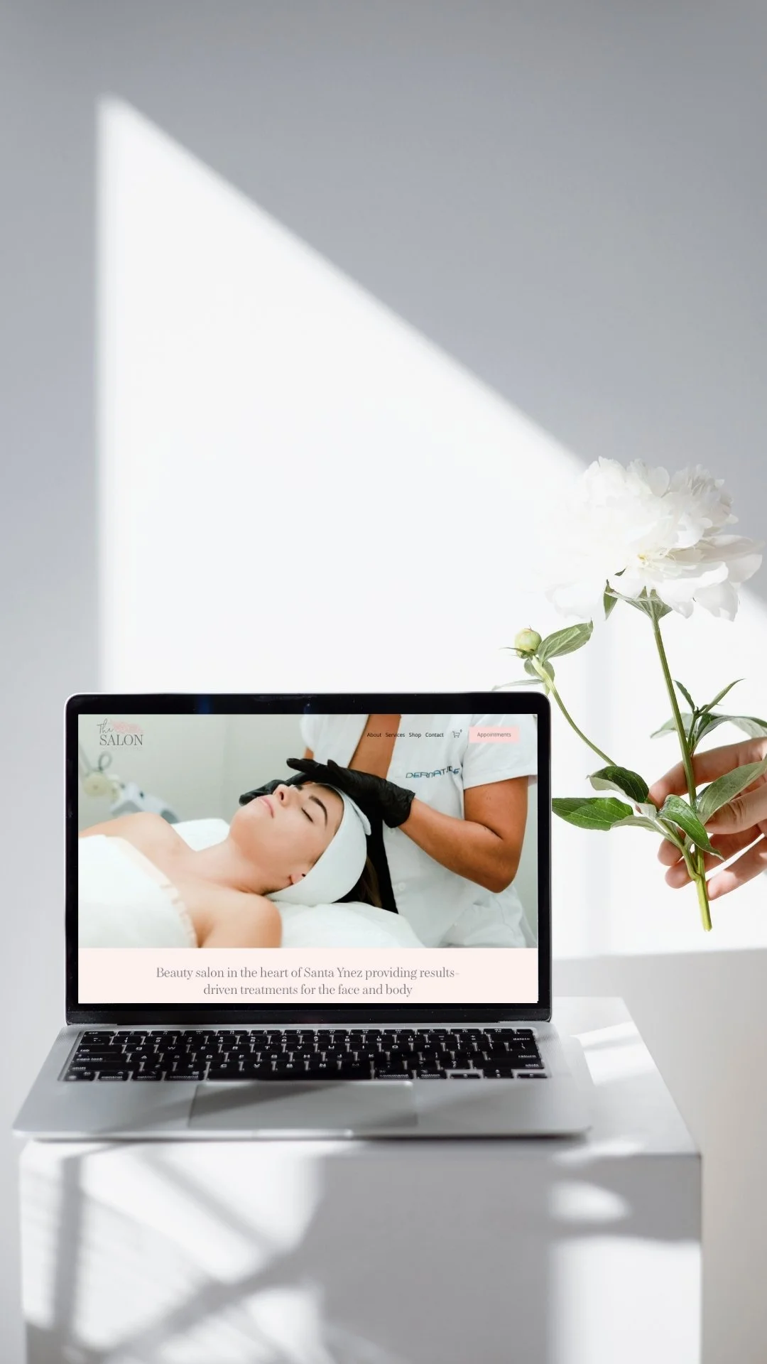 Custom logo design for The Salon in Santa Ynez, California