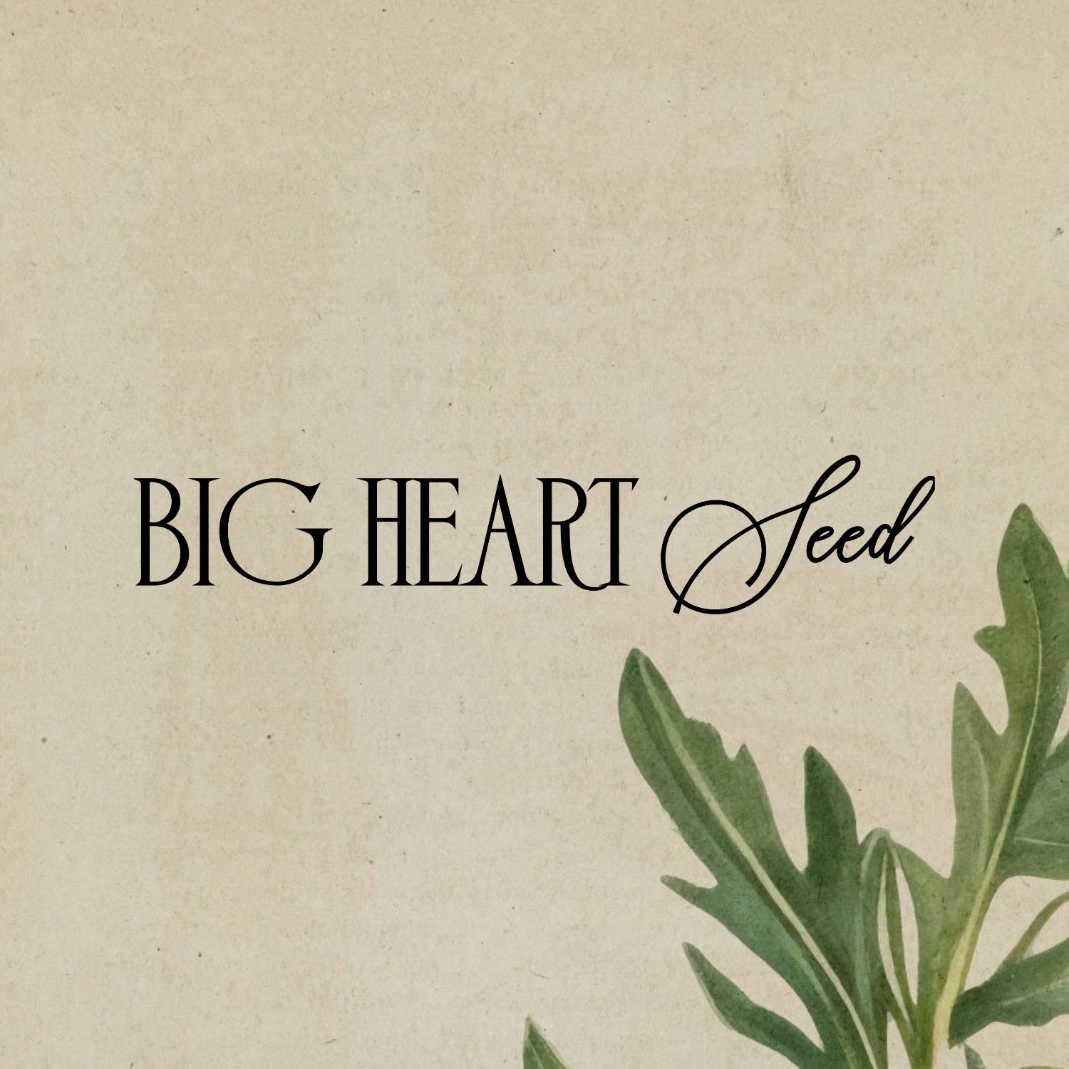 Main Logo
