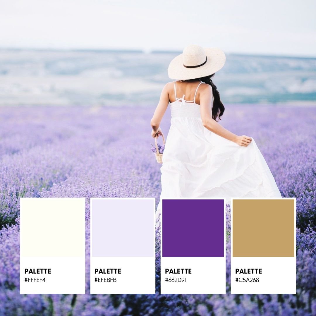 Cohesive Color Palette