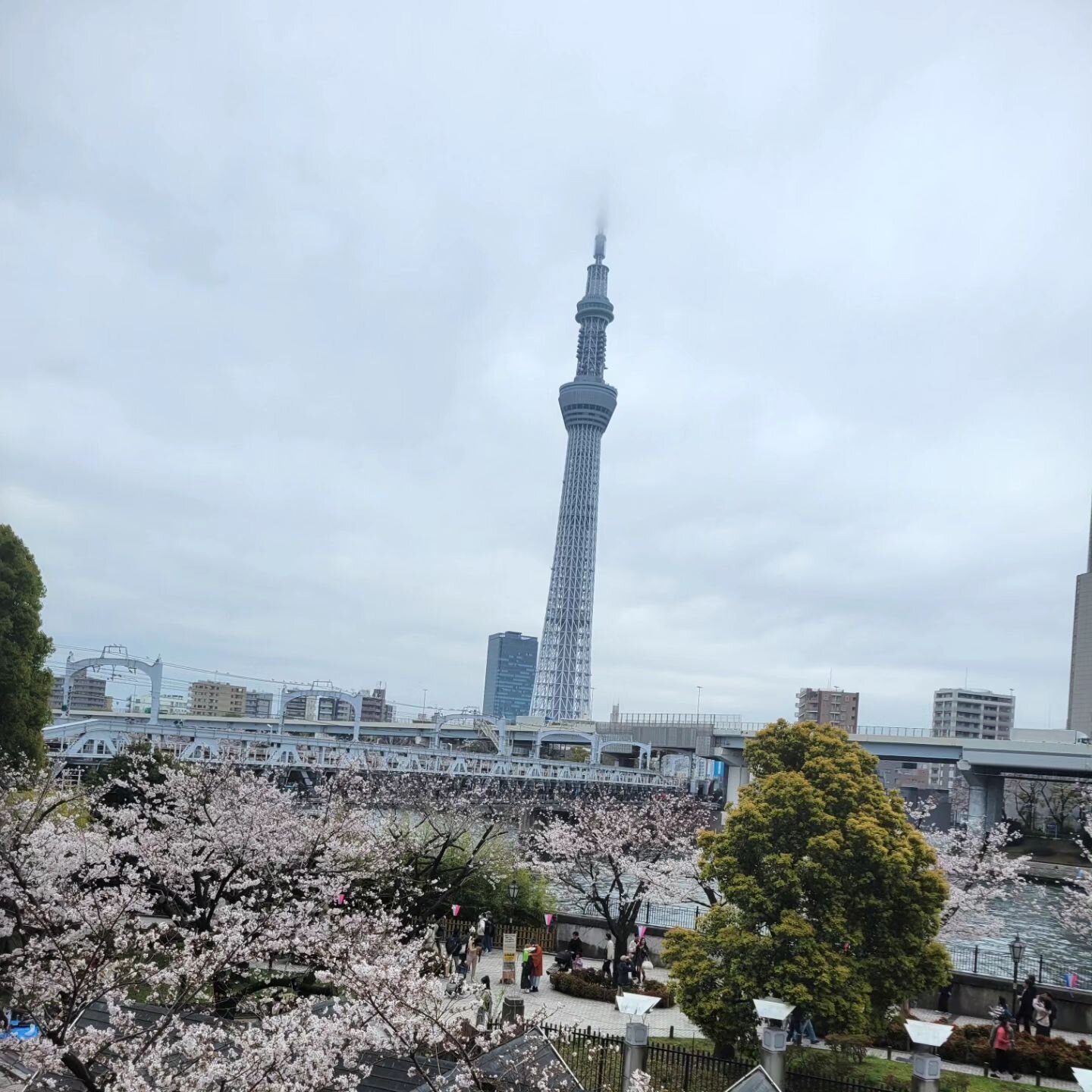 4月6日土曜日

マニュファクチャーのベランダから見た隅田公園の桜です。
曇り空ですが、たくさんの方で賑わってます。
お花見に来た際は、お立ち寄り下さい。🌸🙌🌸

#asakusa #manufacture #factory #bread #bakery #homemade #pastry #gourmet #baker #bakersgonnabake #prove #scrumptious #yum #yummy #yumyum #tokyo #tokyogourmet
#asakus