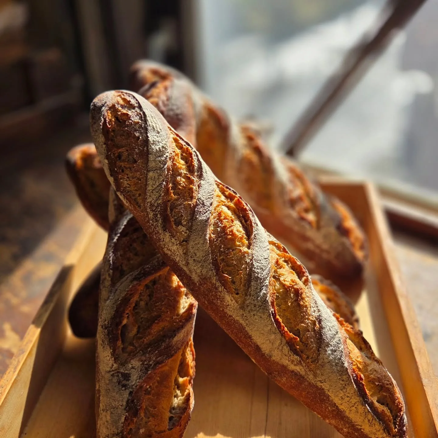 1/12月曜日

本日、13時～オープンです。
皆様のお越しお待ちしております。