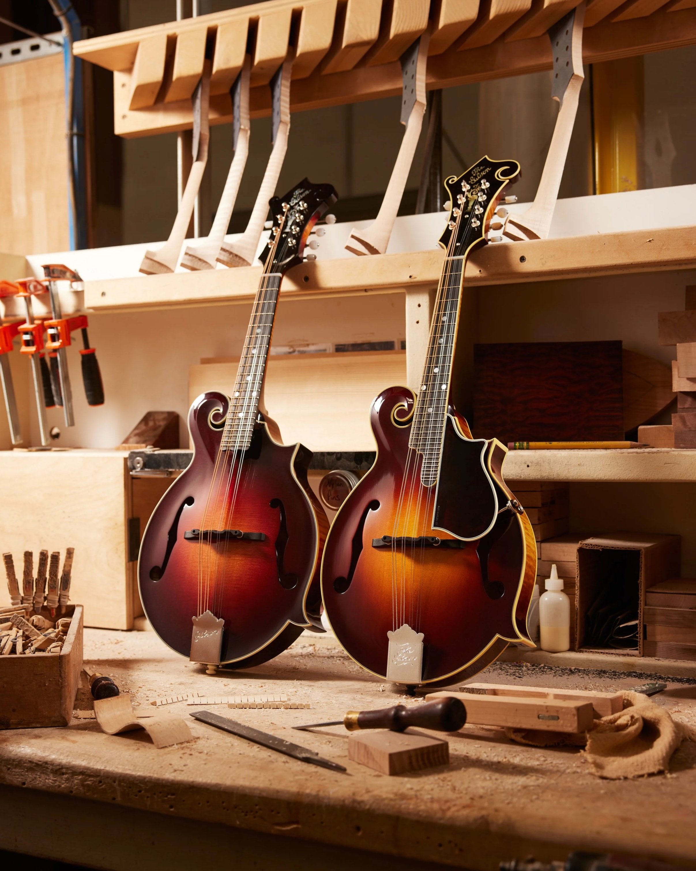 Gibson F5-G and 1923 F-5 Master Model Mandolins